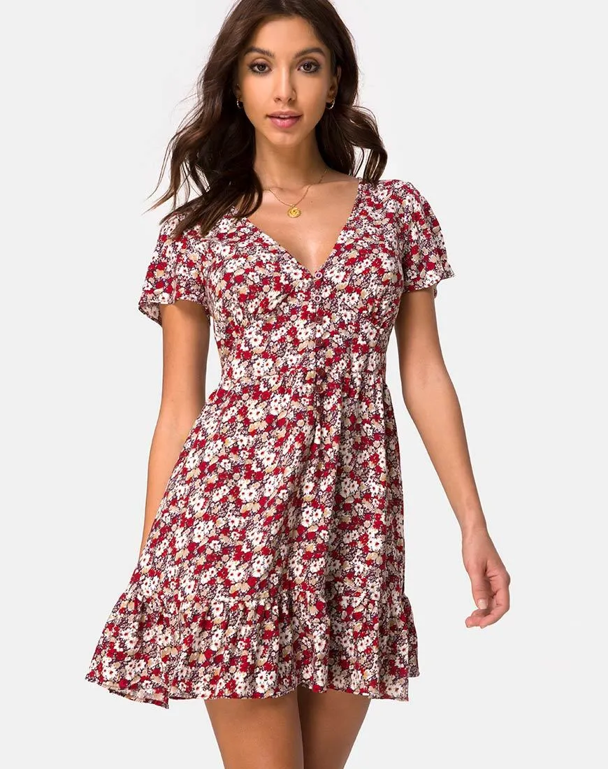 Laily Skater Dress in Floral Charm Red