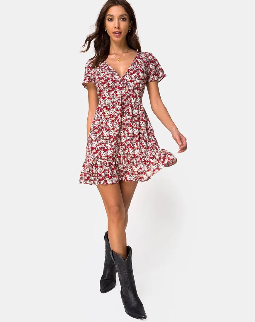 Laily Skater Dress in Floral Charm Red